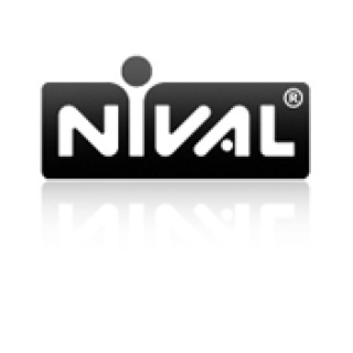 俄罗斯出版商 Nival 在基辅设立新智能手机工作室